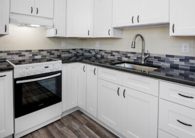 Mother-In-Law Suite Little Tiny House Kitchen